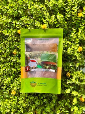 TERRE GLACEE