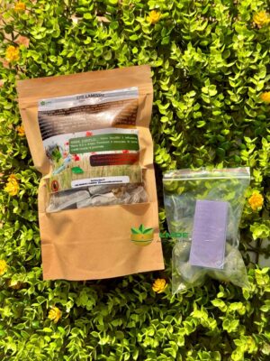 KIT NETTOYAGE APRES FAUSSE COUCHE